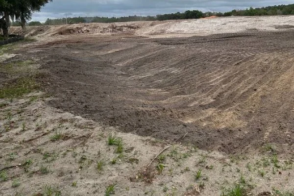 Professional Excavation Contractors in Orlando FL